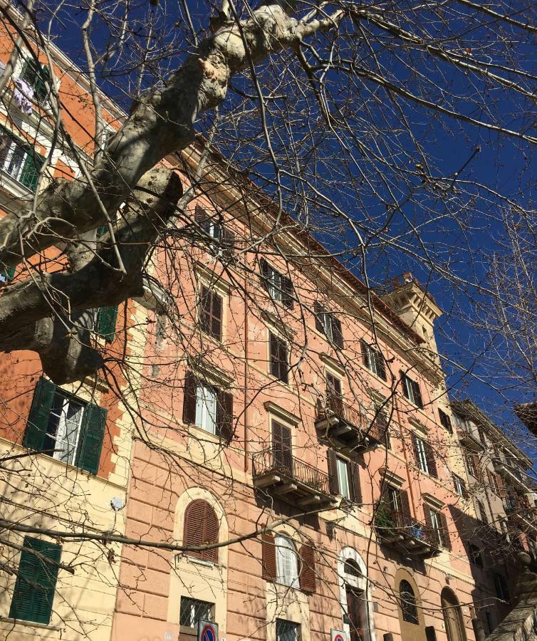 B&B Theodora Frascati Exterior foto